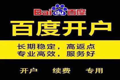 搜索引擎营销（SEM）公司某某的客户成功故事